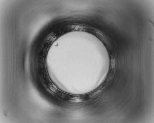 X0000099580381200806131323