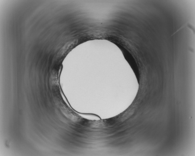 X0000099580384200806131323