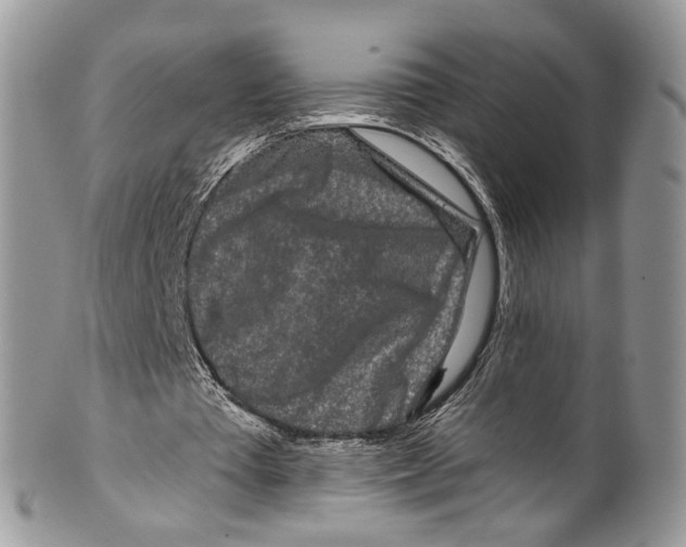 X0000099580385200806131323