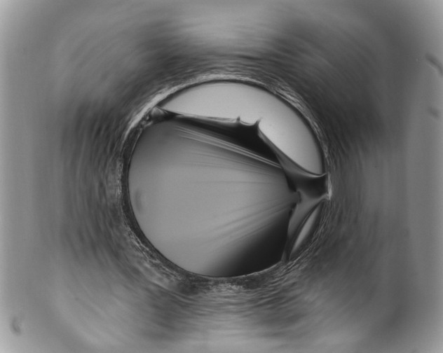 X0000099580387200806131323