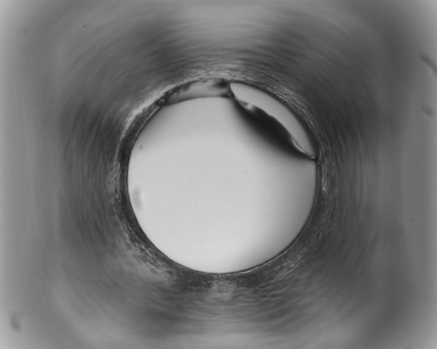 X0000099580388200806131323