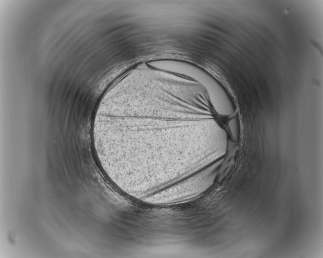 X0000099580389200806131323