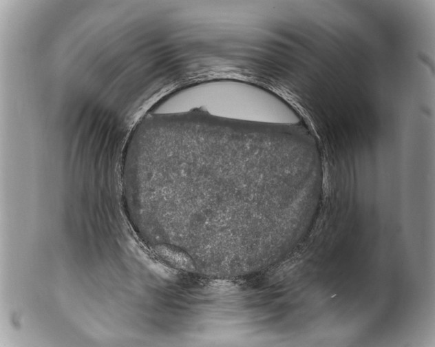 X0000099580390200806131323