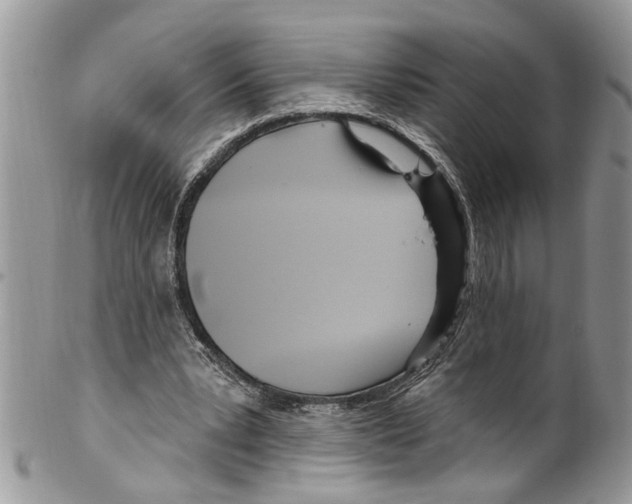 X0000099580391200806131323