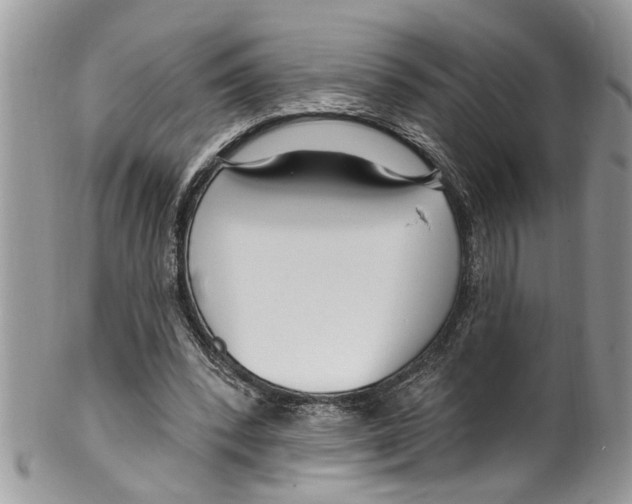 X0000099580392200806131323