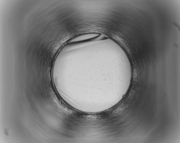 X0000099580394200806131323