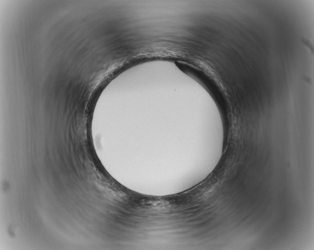 X0000099580395200806131323