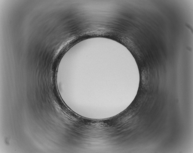 X0000099580396200806131323