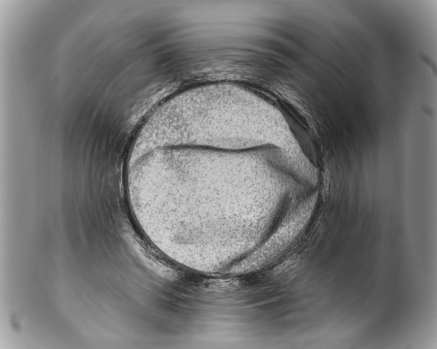 X0000099580398200806131323