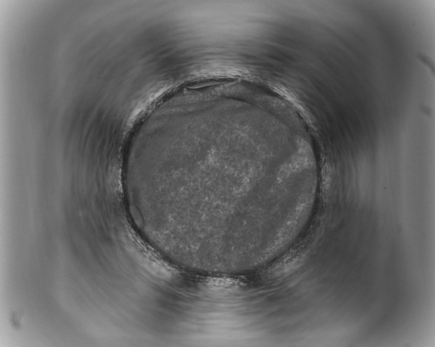 X0000099580399200806131323