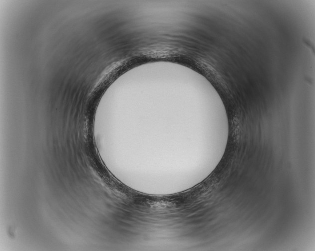 X0000099580400200806131323