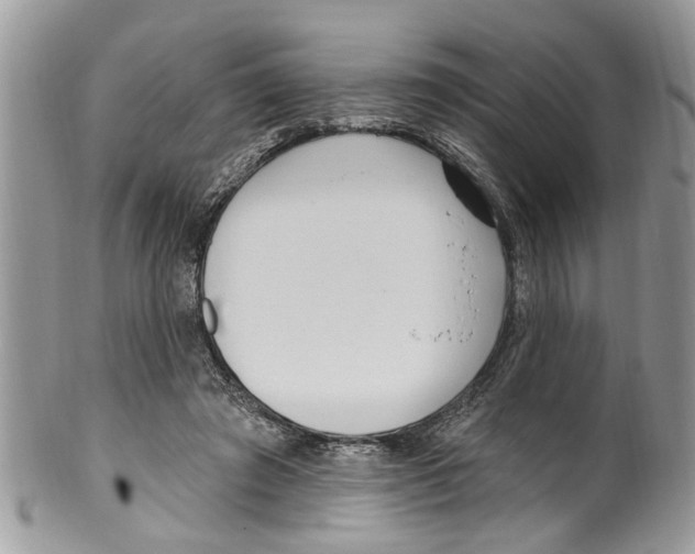 X0000099580401200806131323