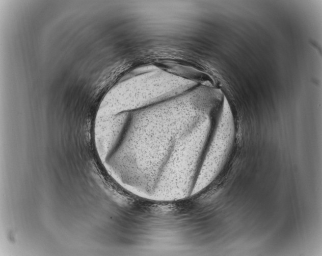 X0000099580402200806131323