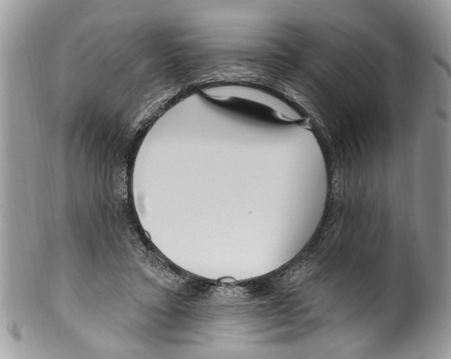 X0000099580403200806131323