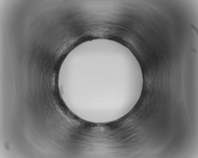 X0000099580404200806131323