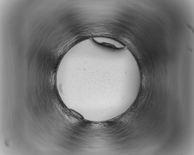 X0000099580405200806131322