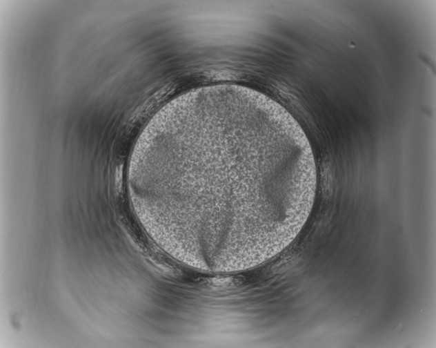 X0000099580406200806131322