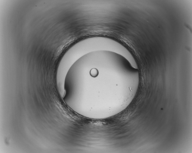 X0000099580407200806131322