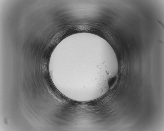 X0000099580408200806131322