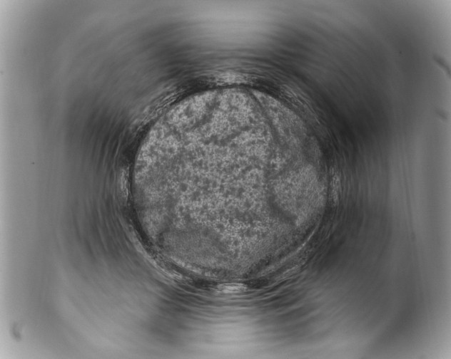 X0000099580410200806131322