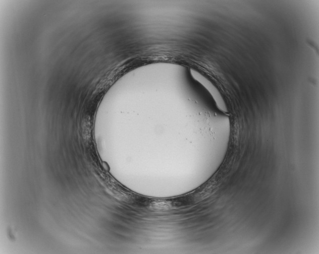 X0000099580413200806131322