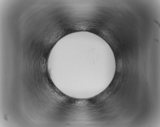 X0000099580414200806131322