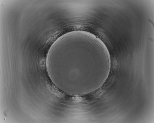 X0000099580419200806131322