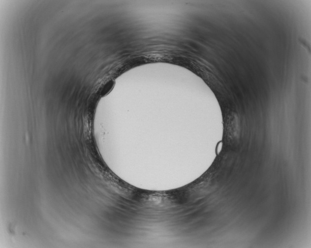 X0000099580420200806131322