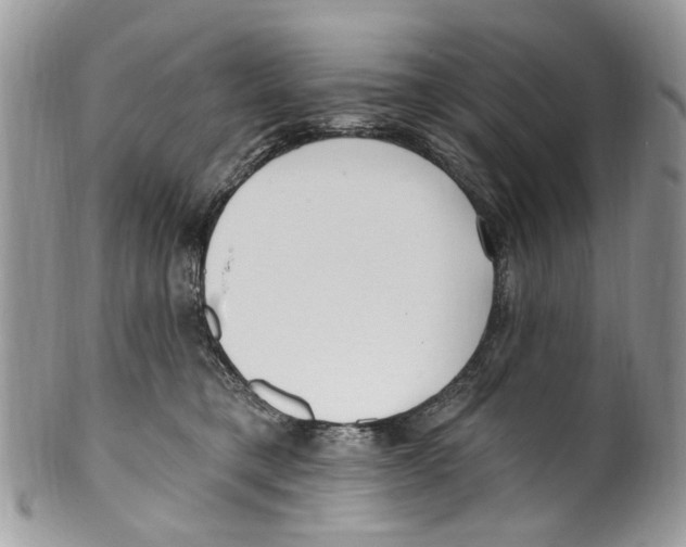 X0000099580421200806131322