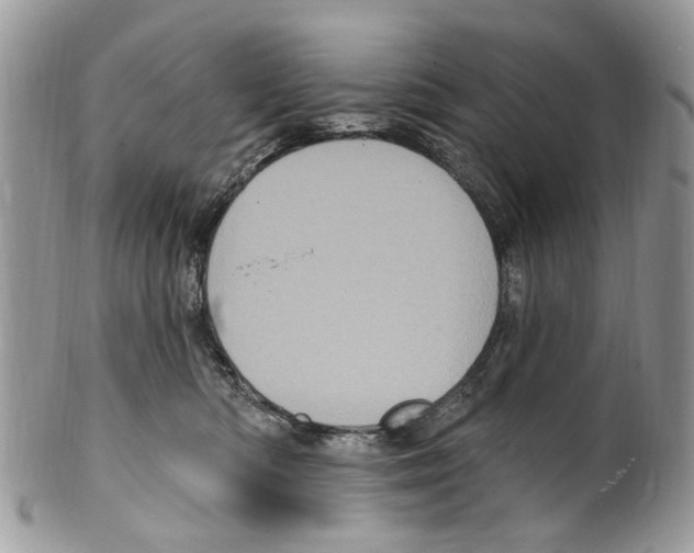 X0000099580422200806131322