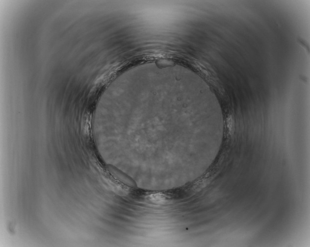 X0000099580423200806131322