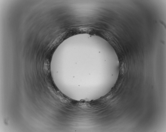 X0000099580424200806131322