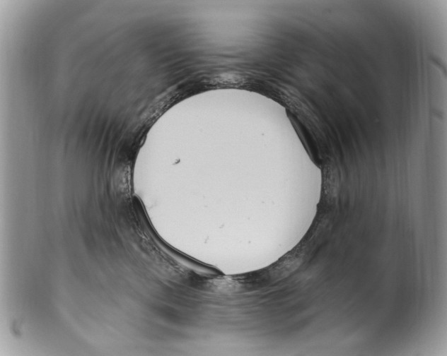 X0000099580425200806131322