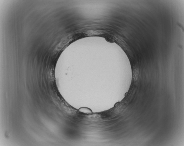 X0000099580426200806131322