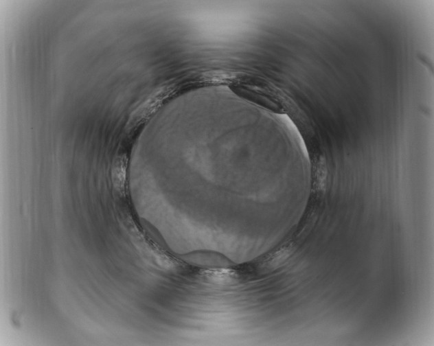 X0000099580427200806131322