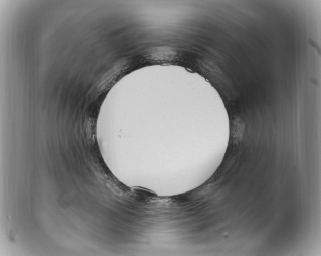 X0000099580428200806131322