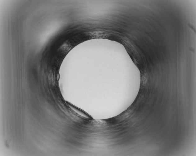 X0000099580429200806131322