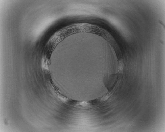 X0000099580431200806131322