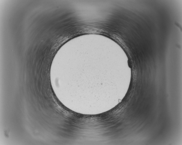 X0000099580433200806131321