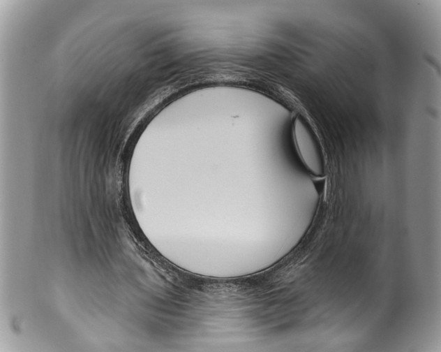 X0000099580435200806131321