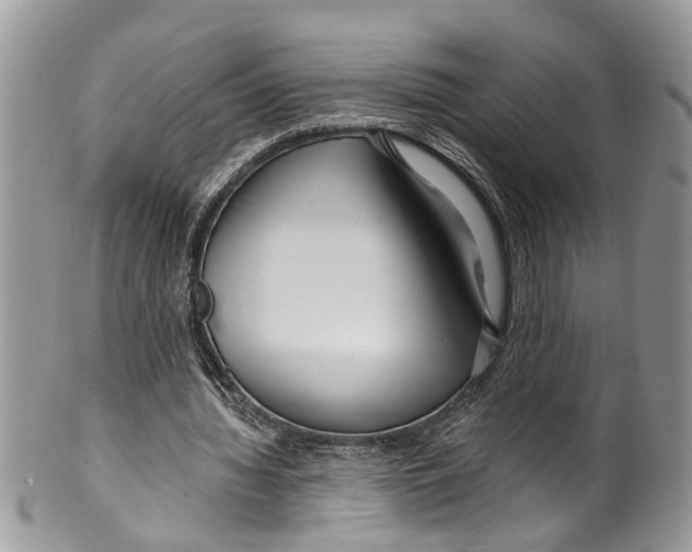 X0000099580436200806131321