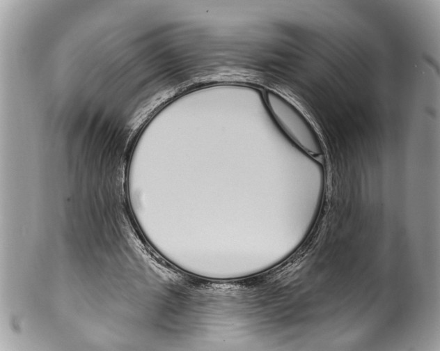 X0000099580437200806131321