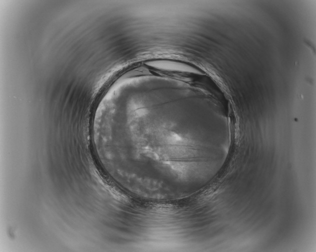 X0000099580438200806131321