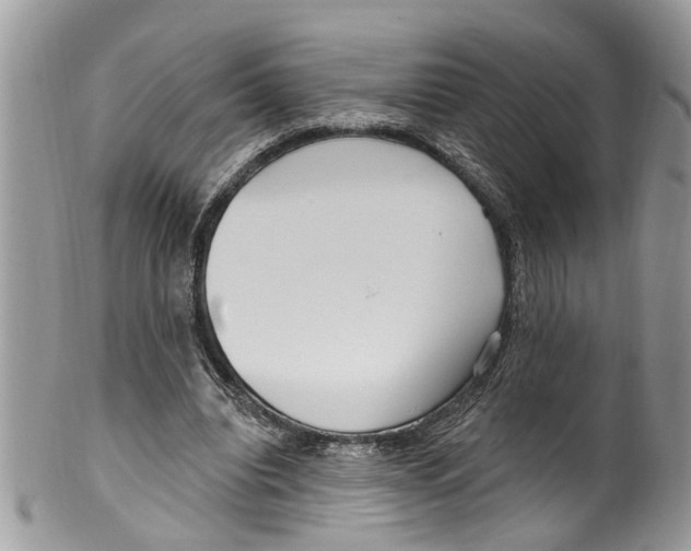 X0000099580440200806131321