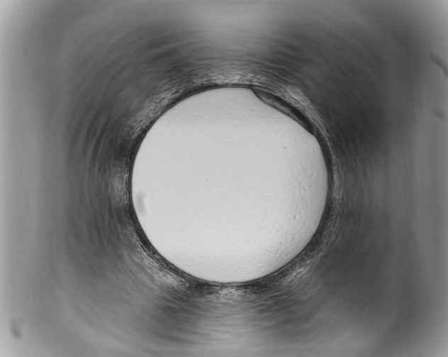 X0000099580441200806131321