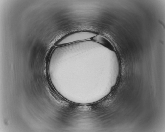 X0000099580443200806131321