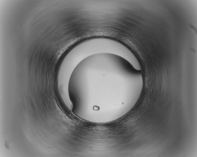 X0000099580444200806131321