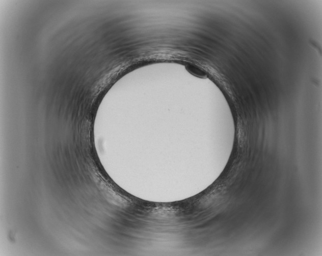 X0000099580445200806131321