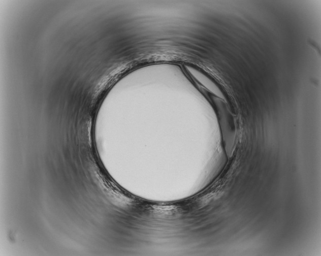 X0000099580446200806131322