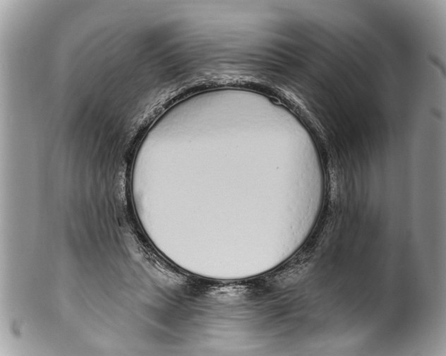 X0000099580447200806131322